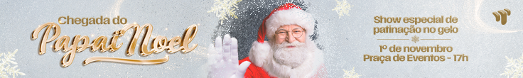 CHEGADA NOEL 