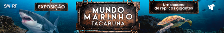 MUNDO MARINHO