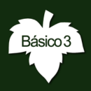 B&aacute;sico 3